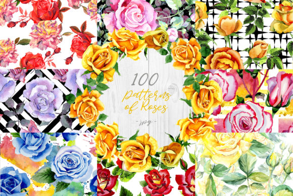 100 Patterns of Colorful Roses Watercolor Set and Illustrations