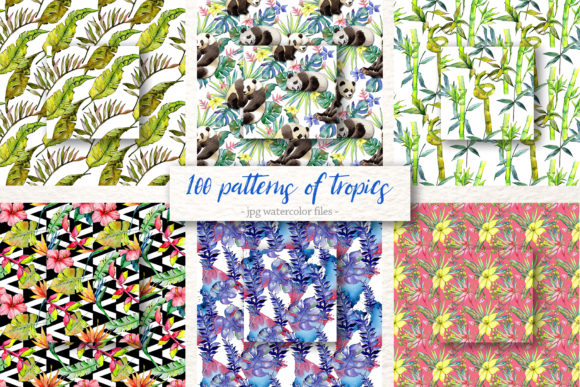 100 Patterns of Tropics Watercolor Set and Illustrations