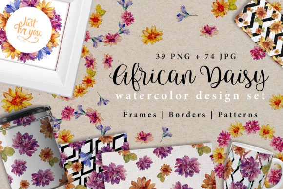 African Daisy Watercolor Design Set and Illustrations