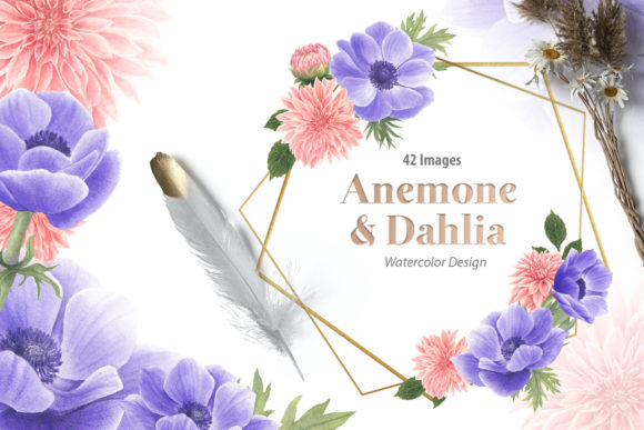 Anemone Dahlia Flowers Watercolor Set Illustrations
