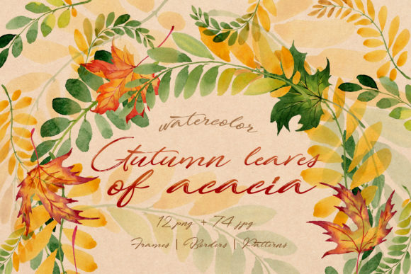 Autumn Leaves of Acacia Watercolor Set and Illustrations