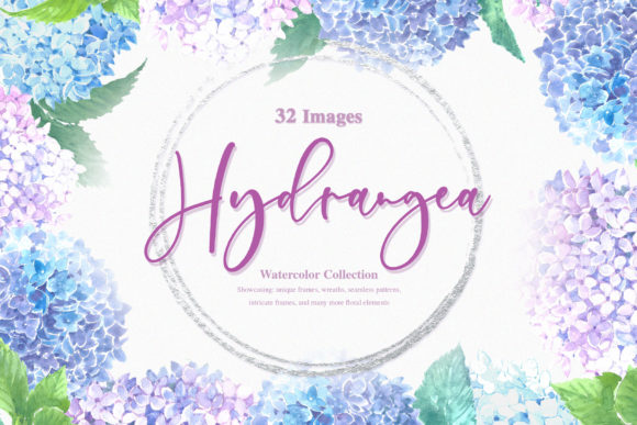 Blue Hydrangea Watercolor Set and Illustrations