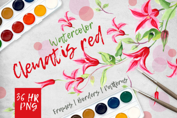 Clematis Red Watercolor Flower Set for Illustrations