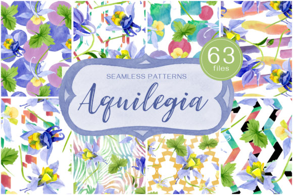 Columbine or Aquilegia Flower Watercolor Illustrations