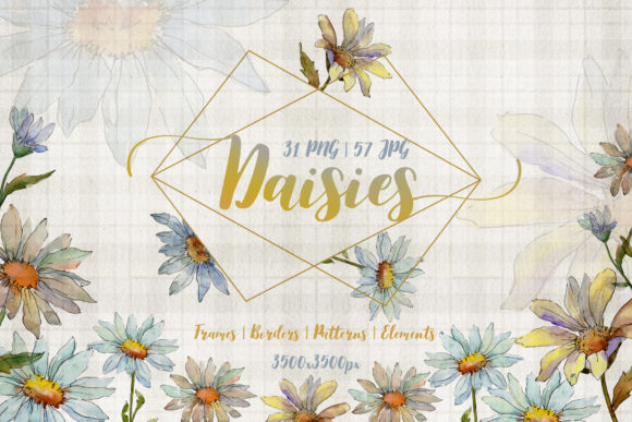 Cool White Chamomile Watercolor Set and Illustrations