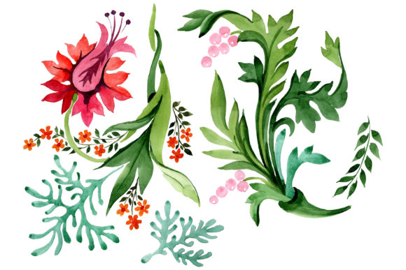 Eastern Ornament Watercolor Illustrations