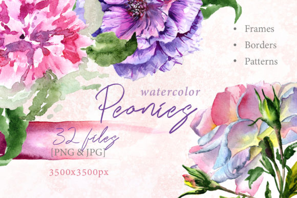 Elegant Peony Watercolor Flower Set for Illustrations