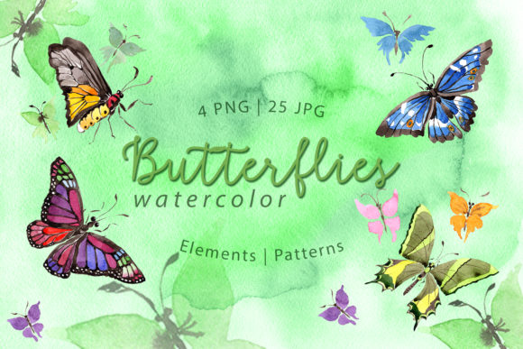 Exotic Butterflies Watercolor Set Illustrations