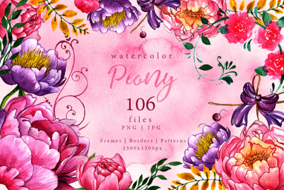 Exquisite Peonies Watercolor Flower Set Illustrations