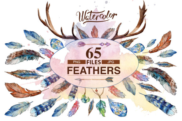 Feather Watercolor Bird Set Illustrations