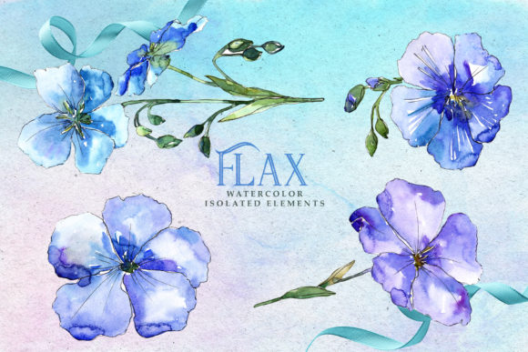 Flax Watercolor Illustrations