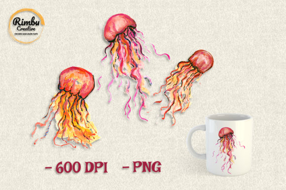 Jellyfish Watercolor Clipart Sea Animal