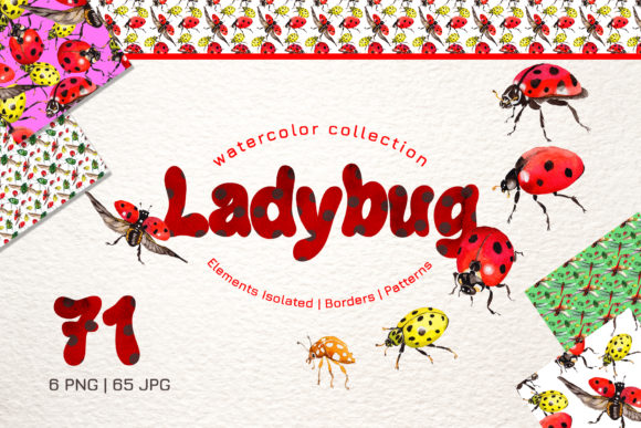 Ladybug Watercolor Illustrations