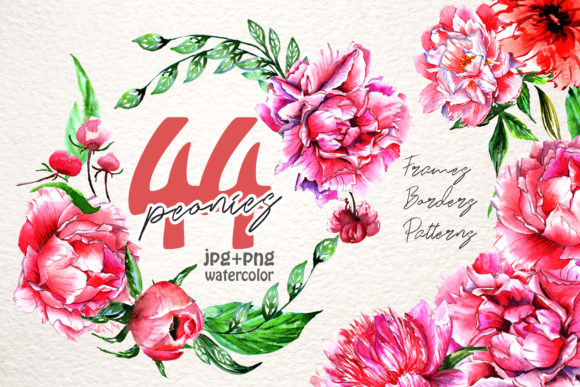Lofty Pink Peony Watercolor Set for Illustrations