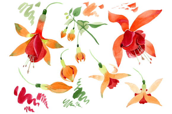 Orange Fuchsia Watercolor Illustrations