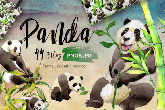 Panda Wild Animal Watercolor Set and Illustrations