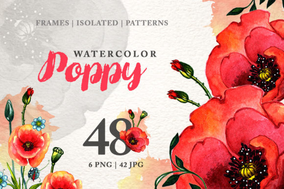 Poppy Watercolor Red Illustrations