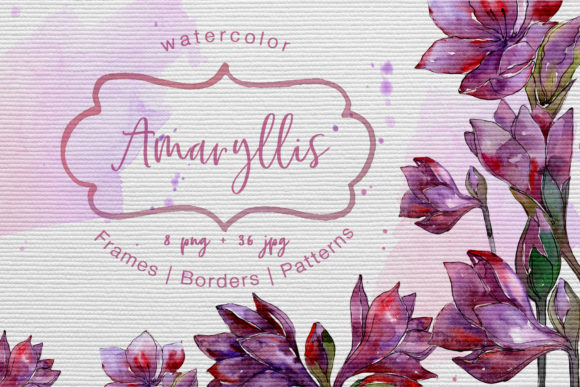Purple Amaryllis Watercolor Set and Illustrations