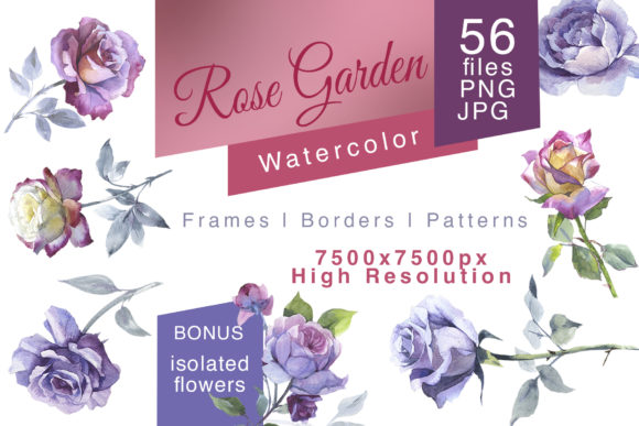 Rose Garden Watercolor Set for Illustrations