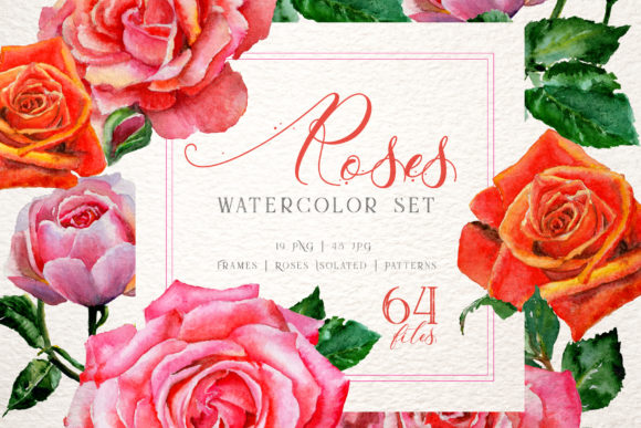 Roses Reds Watercolor Illustrations