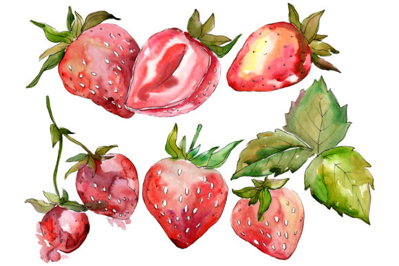 Strawberry Marmolada Watercolor