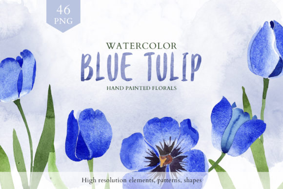 Tulip Watercolor Clipart Blue Illustrations