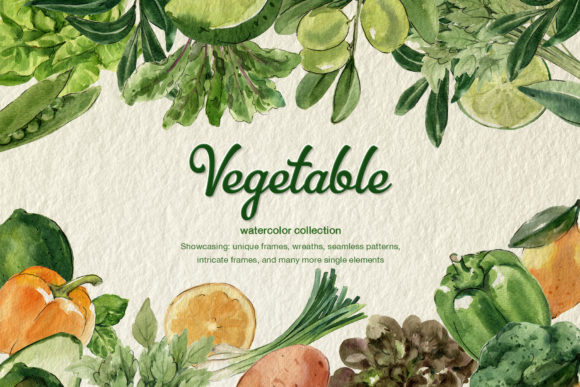 Vegetable Organic Farm Watercolor Set Illustrations