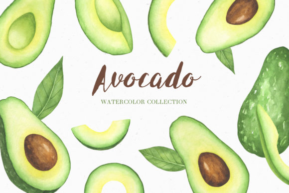 Watercolor Avocado Collection Illustrations