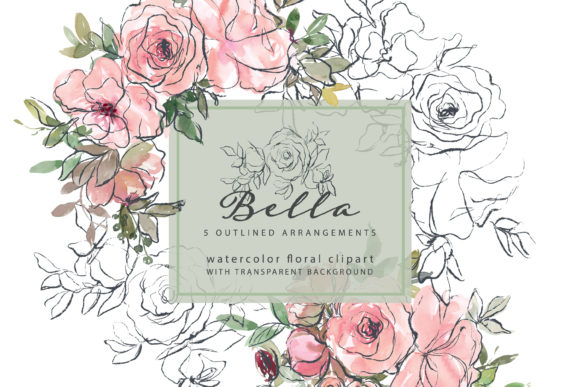 Watercolor Blush Outlined Floral Clipart and Illustrations