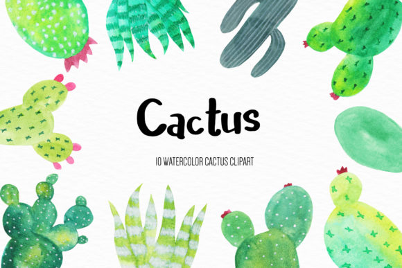 Watercolor Cactus Illustration
