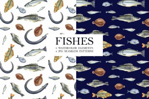 Watercolor Fishes Illustrations