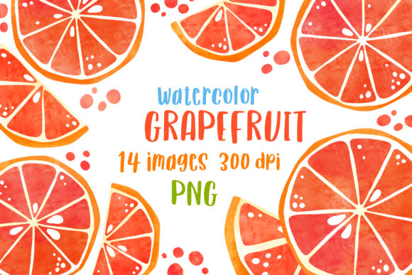 Watercolor Grapefruit Citrus Clipart and Illustrations