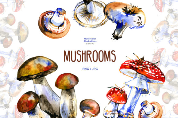 Watercolor Mushrooms Illustrations
