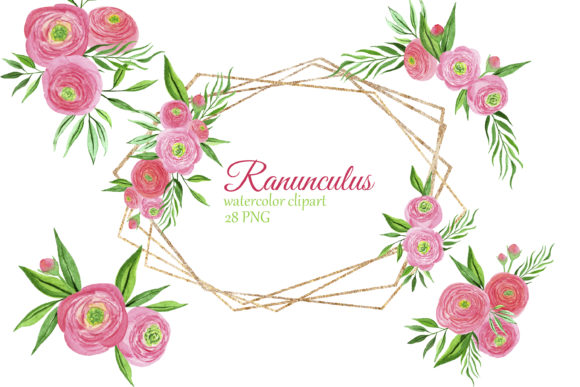Watercolor Pink Ranunculus Bouquets and Illustrations