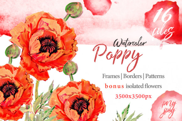 Watercolor Red Poppy Set Illustrations