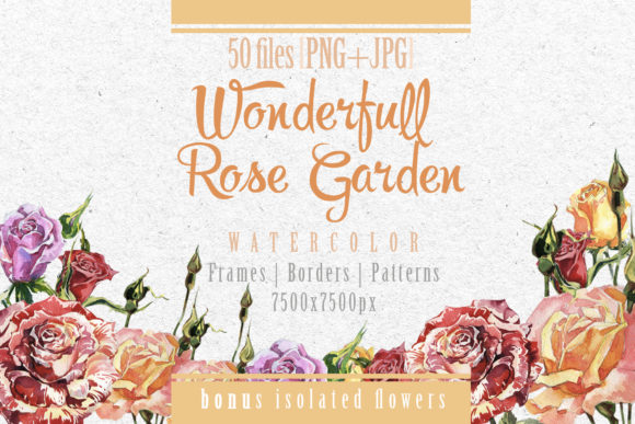 Wonderful Rose Garden Watercolor Set for Illustrations