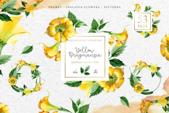 Yellow Brugmansia Watercolor Set and Illustrations