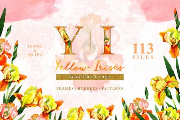 Yellow Irises Watercolor Illustrations